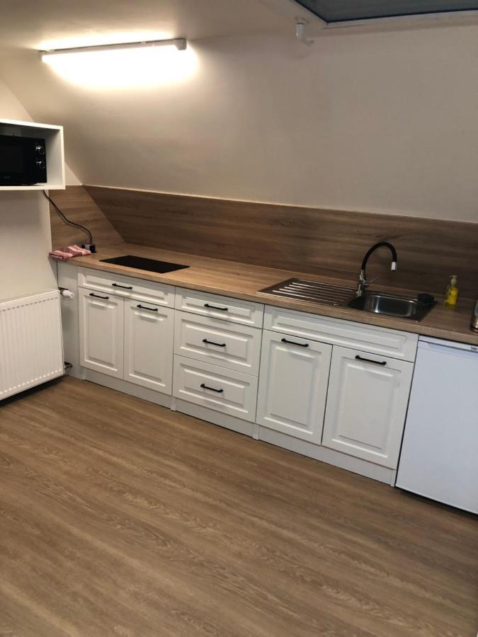 Apartmany U Vleku - Podkrovni Apartman Karlova Studanka Ngoại thất bức ảnh