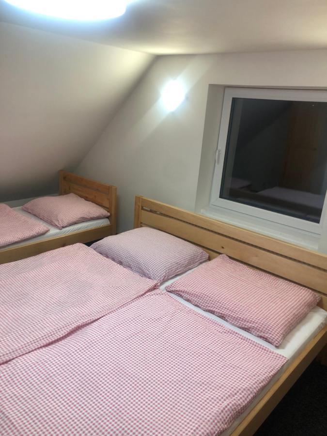 Apartmany U Vleku - Podkrovni Apartman Karlova Studanka Ngoại thất bức ảnh