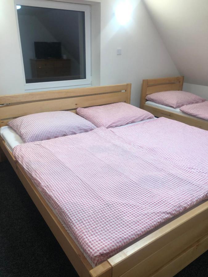 Apartmany U Vleku - Podkrovni Apartman Karlova Studanka Ngoại thất bức ảnh